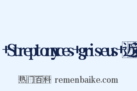 +Streptomyces+griseus+近义词是什么意思的图片